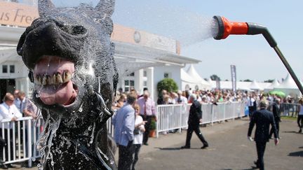 Un cheval est rafra&icirc;chi apr&egrave;s sa course sur l'hippodrome de Hambourg (Allemagne), le 7 juillet 2013. (MAXPPP)