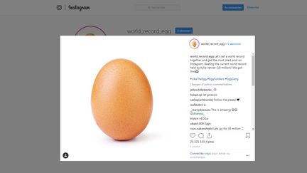 Capture d'écran du compte Instagram world_egg_record, qui a réussi son pari, en décrochant le record du post le plus aimé du réseau social avec une photo d'œuf, le 14 janvier 2019. (WORLD_RECORD_EGG / INSTAGRAM)