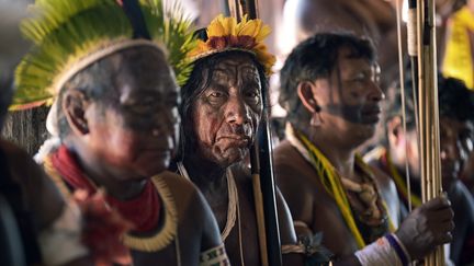 Les chefs indiens du Brésil réunis dans le village de Piaracu, dans l'etat du Mato Grosso, le 15 janvier 2020 (CARL DE SOUZA / AFP)