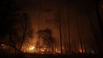 Un incendie&nbsp;ravage la forêt, le 15 juillet 2022, à Cazaux&nbsp;près de La Teste-de-Buch, en Gironde. (THIBAUD MORITZ / AFP)