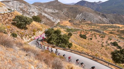 Le peloton de la Vuelta (DE WAELE TIM / TDWSPORT SARL)