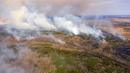 Des feux de forêt dans la zone d'exclusion de Tchernobyl (Ukraine), le 12 avril 2020. (VOLODYMYR SHUVAYEV / AFP)