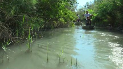 Tourisme : découvrir la Camargue en barque