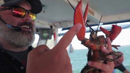 Port de Bar Harbor : du homard à toutes les sauces