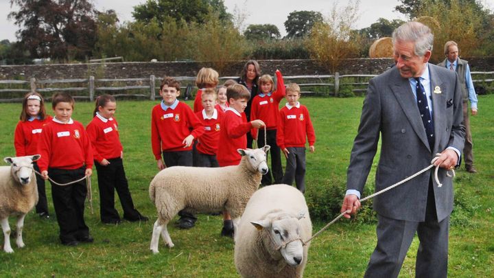 Charles, alors prince de Galles, montre des moutons à des écoliers dans son domaine de Highgrove dans le Gloucestershire, le 12 septembre 2007. (ANWAR HUSSEIN COLLECTION/ROTA / WIREIMAGE / GETTY IMAGES)