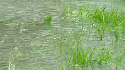 Tempête Louis : de fortes pluies s’abattent sur les Deux-Sèvres (France 2)