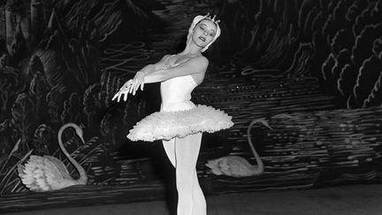 La danseuse Maria Tallchief, alors étoile du New York City Ballet, danse dans "Le Lac des Cygnes" (musique de Piotr Tchaïkovski) le 14 septembre 1953 à la Scala de Milan
 (AP / Sipa)