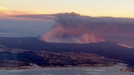 Incendies en Gironde : les flammes ne progressent plus à La Teste-de-Buch