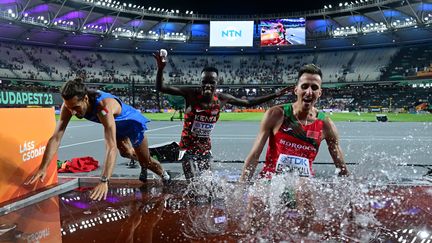 Le champion du monde de saut en hauteur, Gianmarco Tamberi, le médaillé de bronze du 3000 m steeple, Abraham Kibiwot et le vainqueur du 3000 m steeple, Soufian El Bakkali ont célébré ensemble, le 22 août 2023. L'Italien, le Kényan et le Marocain ont fait le show en se jetant dans la rivière du 3000 m steeple. (BEN STANSALL / AFP)