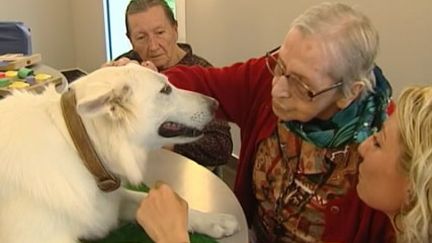 La zoothérapie, une méthode au service des malades d'Alzheimer 