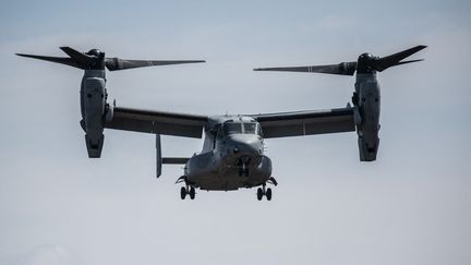 L'appareil qui s'est écrasé était un US Osprey, capable d'atterrir ou de décoller verticalement, comme un hélicoptère. (CHARLY TRIBALLEAU / AFP)