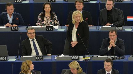 Marine Le Pen au Parlement europ&eacute;en &agrave; Strasbourg (Bas-Rhin), le 12 janvier 2015. (PATRICK HERTZOG / AFP)