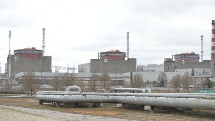 La centrale nucléaire de Zaporijjia, en Ukraine, le 29 mars 2023. (ANADOLU AGENCY / AFP)