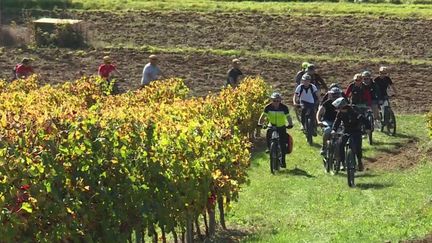 Tarn : le cyclotourisme séduit les touristes étrangers&nbsp; (FRANCE 3)