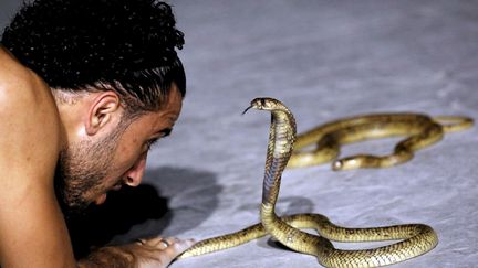 «Le monde des serpents est vaste, le dresseur doit apprendre les secrets de la chasse et de la capture des serpents ... S'il n'est pas informé, il pourrait être exposé à un venin mortel à tout moment», explique Amier. Sur scène, le jeune homme tient chaque serpent par la queue et le balance au son d'une douce musique indienne. Puis il le regarde directement dans les yeux avant de toucher sa tête avec son front et de le poser par terre. Cette chorégraphie rappelle l'époque des pharaons et l'attribut royal en forme de cobra fixé à la coiffe des souverains pour les protéger de l'ennemi. Amier possède 13 serpents dont il dit se sentir plus proche que de certains humains.
 (Amr Abdallah DALSH / REUTERS)