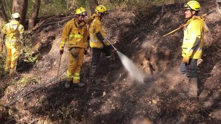 Pyrénées-Orientales : un incendie maîtrisé, le département en alerte rouge (France 2)