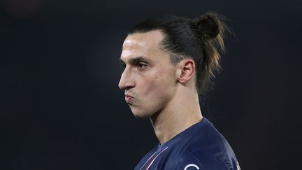 Zlatan Ibrahimovic (PSG)