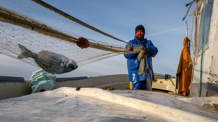 Un pêcheur travaille sur son bateau au large de Nice (Alpes-Maritime), le 16 avril 2020 (illustration).&nbsp; (VALERY HACHE / AFP)