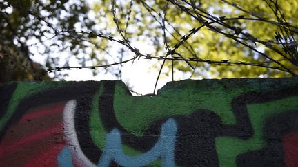 Un pan du Mur de Berlin, près de la Spree (août 2014)
 (Tobias Schwarz / AFP)