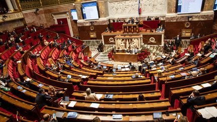 L'hémicycle de l'Assemblée nationale, le 25 octobre 2023 à Paris. (LAURE BOYER / HANS LUCAS / AFP)