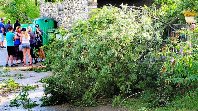 &nbsp; (Une femme de 46 ans a été tuée par la chute d'un arbre à Saint-Paulet-de-Caisson dans le Gard © Maxppp)