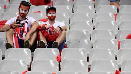 Supporters autrichiens (TOBIAS SCHWARZ / AFP)