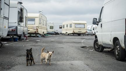 Wattrelos-Mouscron : un mur prévu pour isoler des gens du voyage sur la frontière belge fait polémique 