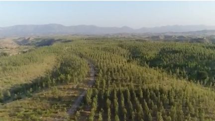 Le Pakistan est un des pays asiatiques qui comptent le moins de forêts. 1 milliard d'arbres vont être plantés pour y remédier. (FRANCE 2)