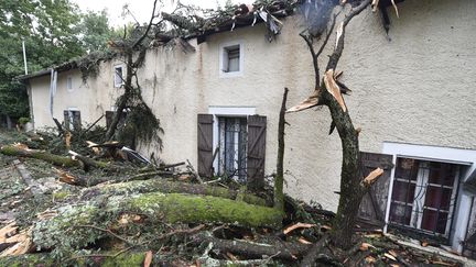 Il n'y a pas que les voitures : des maisons ont &eacute;galement &eacute;t&eacute; endommag&eacute;es par la chute d'arbres &agrave; Montauban, le 1er septembre 2015. (PASCAL PAVANI / AFP)