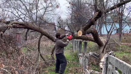 Guerre en Ukraine : trouver du bois, une ressource essentielle pour passer l'hiver