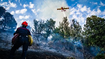 Les pompiers utilisent un vocabulaire bien précis pour caractériser l'évolution du feu. Photo d'illustration. (FLORENT SELVINI / MAXPPP)