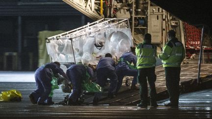 Le transfert de l'infirmi&egrave;re contamin&eacute;e par Ebola de Glasgow &agrave; Londres (Royaume-Uni), le 30 d&eacute;cembre 2014.&nbsp; ( AFP )