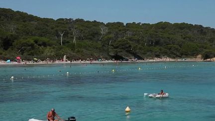 Porquerolles : une île touristique en proie à la sécheresse