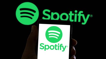 Logo de la plateforme Spotify qui investit dans le livre audio en rachetant Findaway, une plateforme spécialisée dans les audiobooks. (DAVIDE BONALDO/SIPA USA/SIPA / SIPA USA)