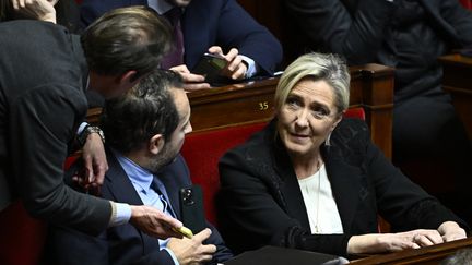 La présidente du groupe Rassemblement national, Marine Le Pen, à l'Assemblée nationale, le 19 décembre 2023. (JULIEN DE ROSA / AFP)