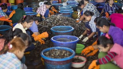 «Le manque de clarté dans les lois et les pratiques empêchent les autorités thaïlandaises d’identifier les victimes du travail forcé et à poursuivre les coupables.» (Gemunu Amarasinghe/AP/SIPA)