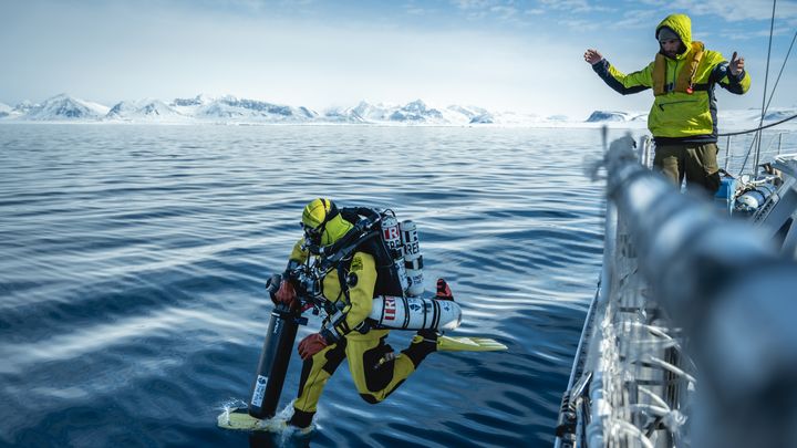 Les scientifiques d'Under the pole vont partir à la découverte des forets animales sous-marines profondes pour la mission Deep Life. (UNDER THE POLE)