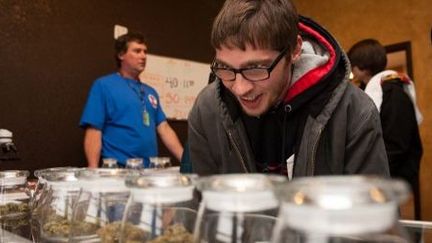 Vente libre de cannabis à Denver, le 1er janvier 2014. (AFP/Theo Stroomer)