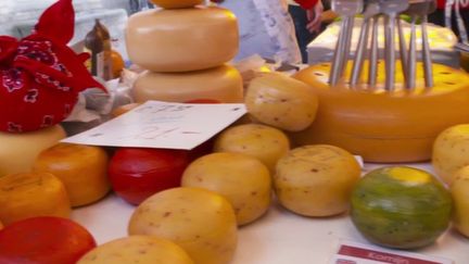 Gastronomie : aux Pays-Bas, le gouda est fabriqué de façon traditionnelle