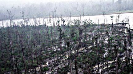 Les dommages environnementaux de la mine Ok Tedi (1999). (The Australian)