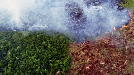 Vue aérienne d'un feu de forêt à Ramal do Cinturao Verde, dans la forêt amazonienne, au Brésil, le 4 août 2020.&nbsp;&nbsp; (CHICO BATATA / AFP)