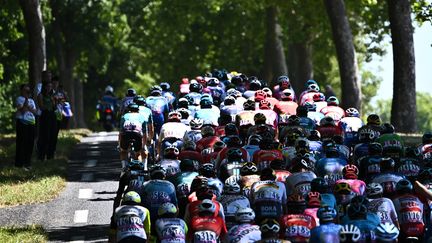 Le peloton du Tour de France lors de la 7e étape, le 8 juillet 2022. (ANNE-CHRISTINE POUJOULAT / AFP)