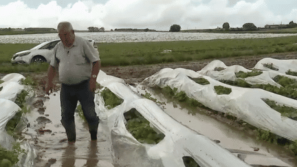 Intempéries : les récoltes des agriculteurs compromises