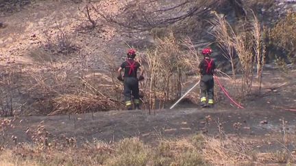 Incendie à Tarascon : le feu est sous contrôle, mais des reprises restent possibles