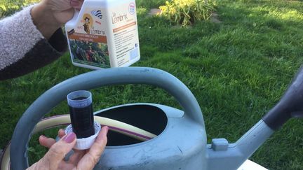 Le thé de compost ne s'utilise surtout pas pur. Ce engrais naturel est concentré, il doit être dilué.&nbsp; (ISABELLE MORAND / LE LOMBRIX / RADIO FRANCE)