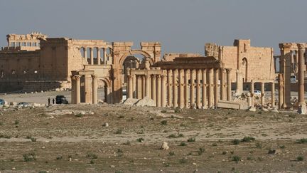 Le site antique de Palmyre (Syrie), photographi&eacute; le 13 avril 2010. (ANTOINE MATEOS / CITIZENSIDE / AFP)