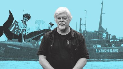 Le tribunal de Nuuk (Groenland) doit statuer, le 4 septembre 2024, sur le maintien du militant écologiste Paul Watson en détention provisoire. (PAULINE LE NOURS / FRANCEINFO)