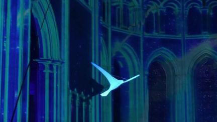 Spectacle :&nbsp;voyage à travers le temps lumineux et immersif à la cathédrale de Lyon (FRANCE 2)