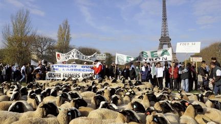 manifestation des éleveurs ovins à Paris, le 13 vovmbre 2008 (AFP/Bertrand Guay)