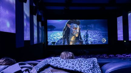 Une séance du film Avatar, la voie de l'eau, le 27 décembre 2022 à Montauban (Tarn-et-Garonne). (LAURENT LE CRABE / HANS LUCAS / AFP)